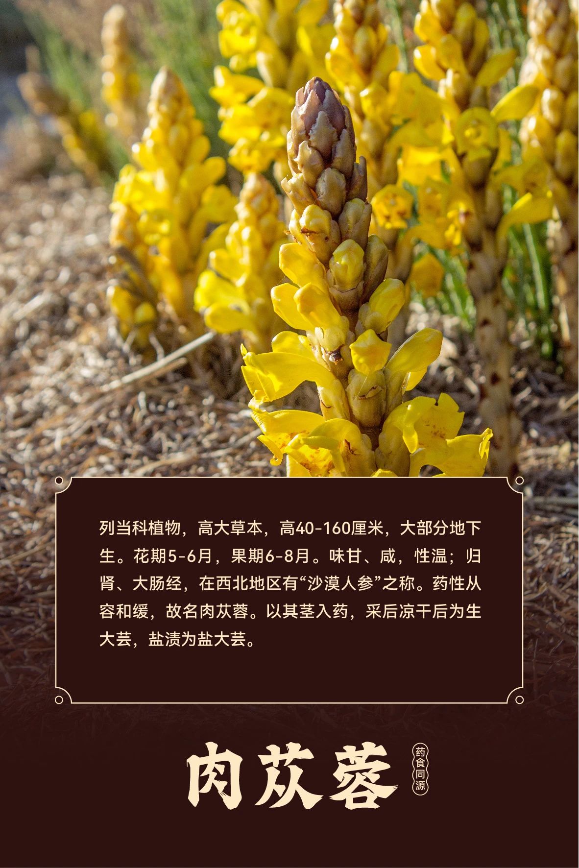微信图片_20241126115929.jpg