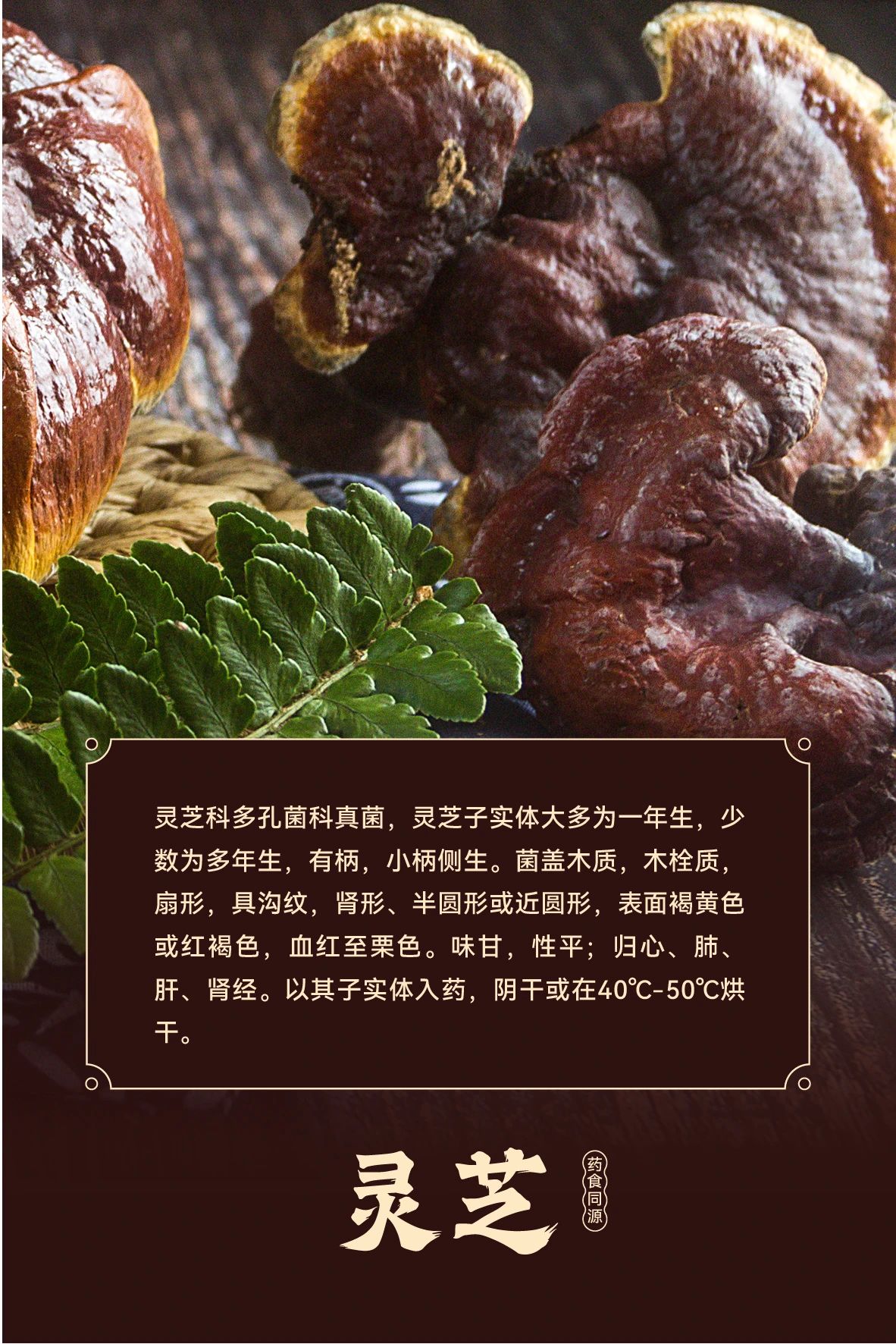 微信图片_20241126115939.jpg