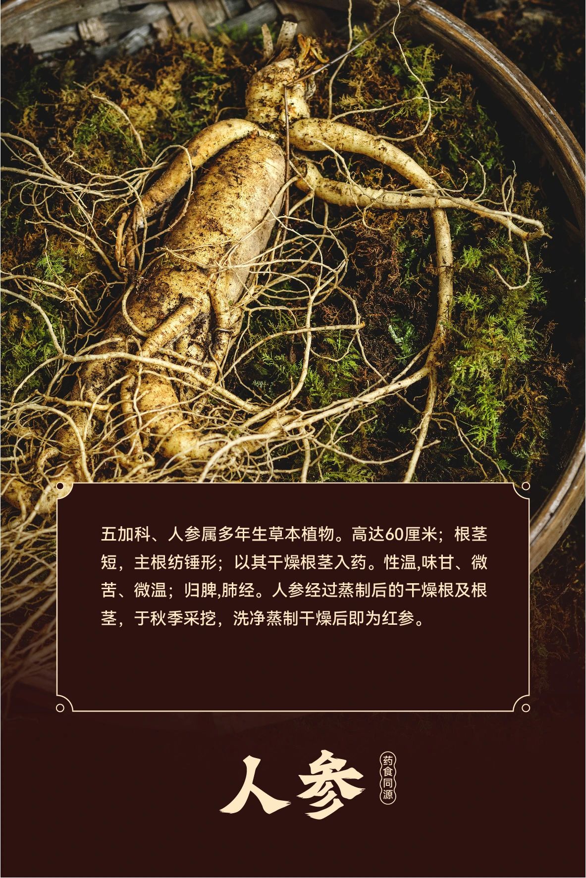 微信图片_20241126115949.jpg